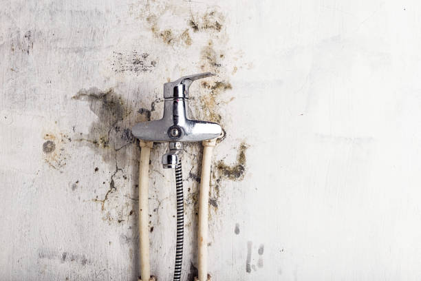 Best Mold Remediation Services  in Moscow, PA