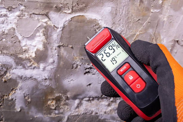 Best Local Mold Removal Service  in Moscow, PA