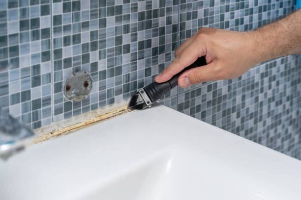 Best Local Mold Removal Service  in Moscow, PA