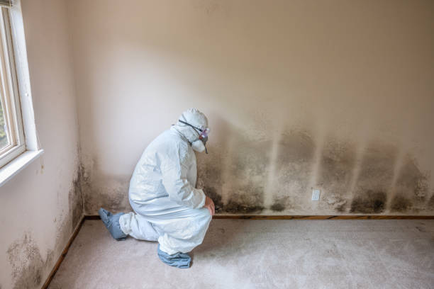 Best Emergency Mold Removal  in Moscow, PA