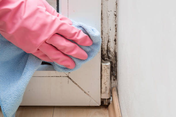 Best Professional Mold Removal  in Moscow, PA